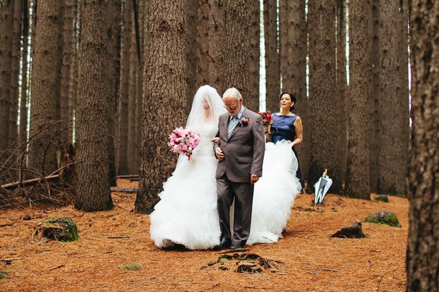 Batlow resident Cor Smit walking his daughter down the aisle at her wedding in the Sugar Pine forest