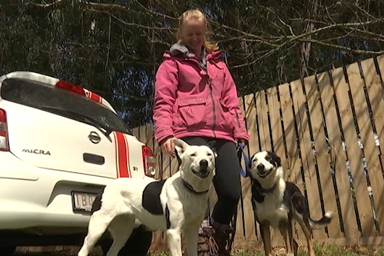 Sheep dog worker Jemima Christie stands beside her dogs 'Zee' and 'Tig'