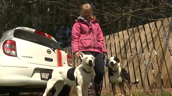 Sheep dog worker Jemima Christie stands beside her dogs 'Zee' and 'Tig'