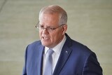 Morrison stands in front of a row of microphones, speaking to media.