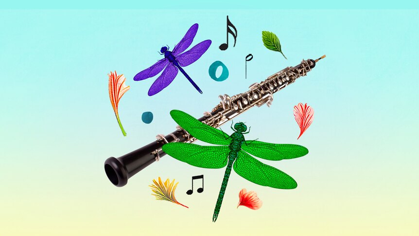 An oboe is photoshopped on a yellow to blue gradient background with colourful dragonflies, floral and music motifs around it
