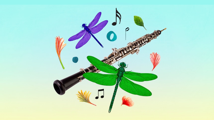 An oboe is photoshopped on a yellow to blue gradient background with colourful dragonflies, floral and music motifs around it