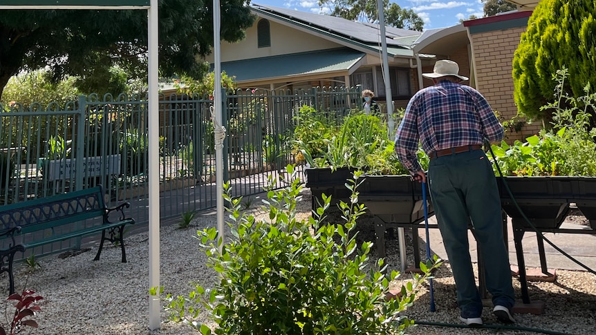 An elderly man wearing a checked shirt, green pants and a straw hat attends to his veggie bed 