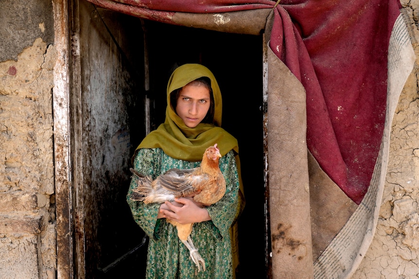 A girl  dressed in green holds a chicken at the entrance of a building.