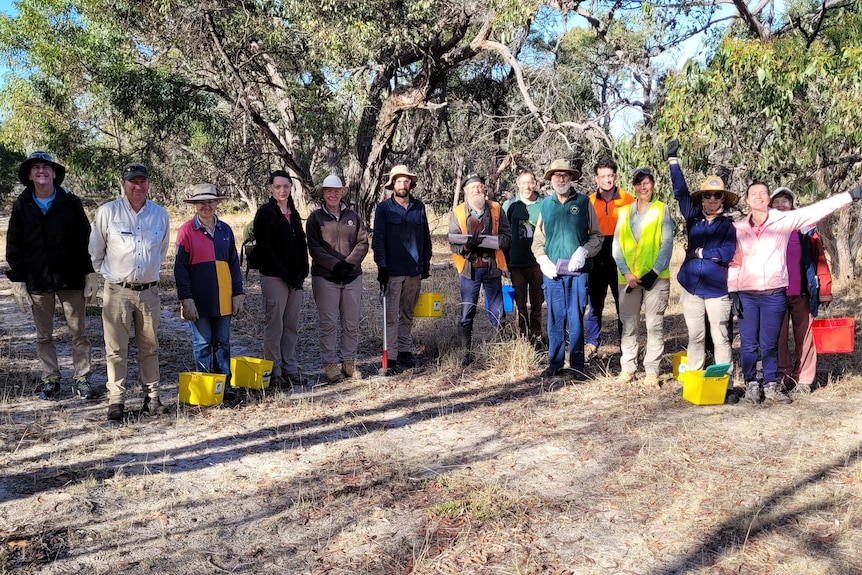 A group of people stand in a line wearing gardening clothes, with yellow buckets in front, trees and bushland behind