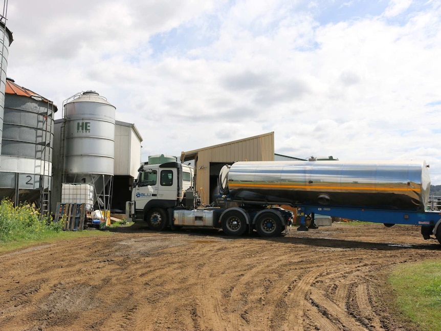 Milk tanker collecting milk.