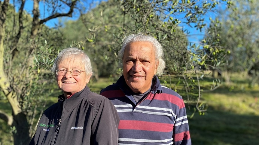 A man and a woman standing in front of an olive grove at Latrobe in Tasmania