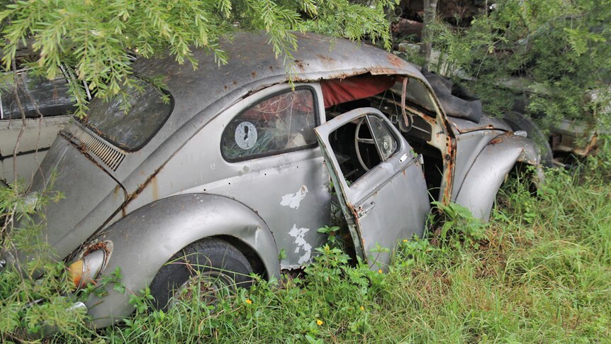 A VW Beetle at Gold Coast Auto Wreckers
