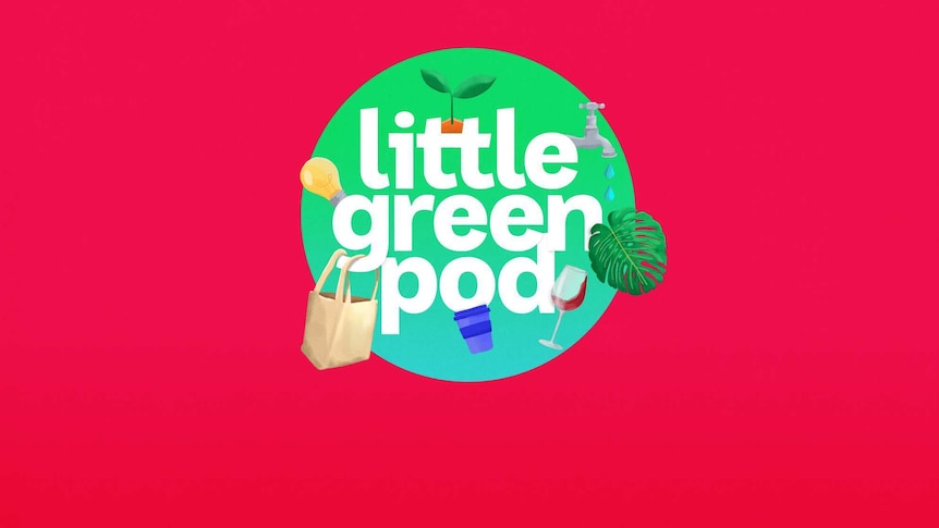 The logo for the Little Green Pod.