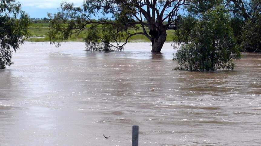 Floodwaters in Coonamble