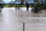Floodwaters in Coonamble