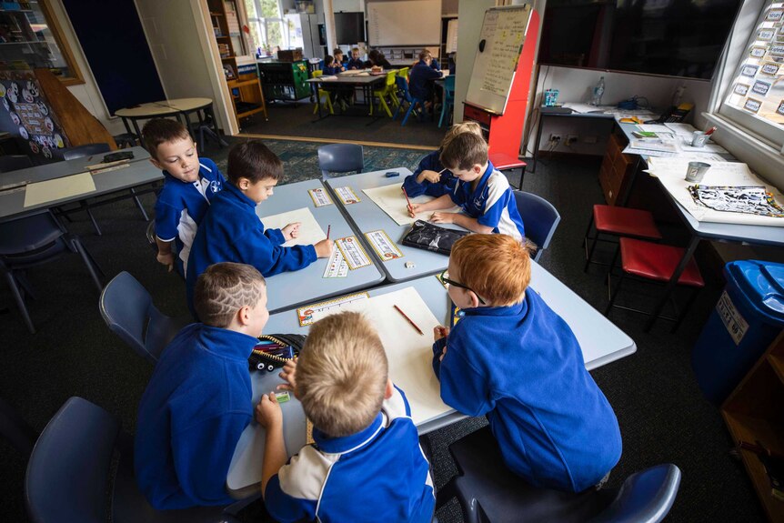 Primary school aged children work in classroom.