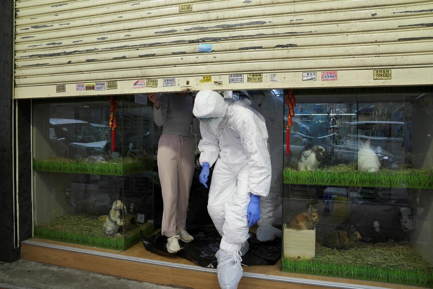 Officers in protective suits leave a closed pet shop.