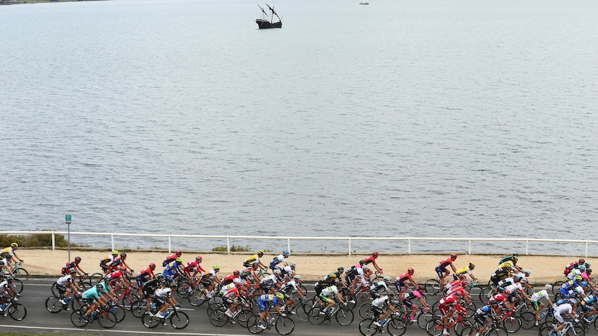 The peloton is seen during the Elite Men's Road Race at the 2016 Cadel Evans Great Ocean Road Race