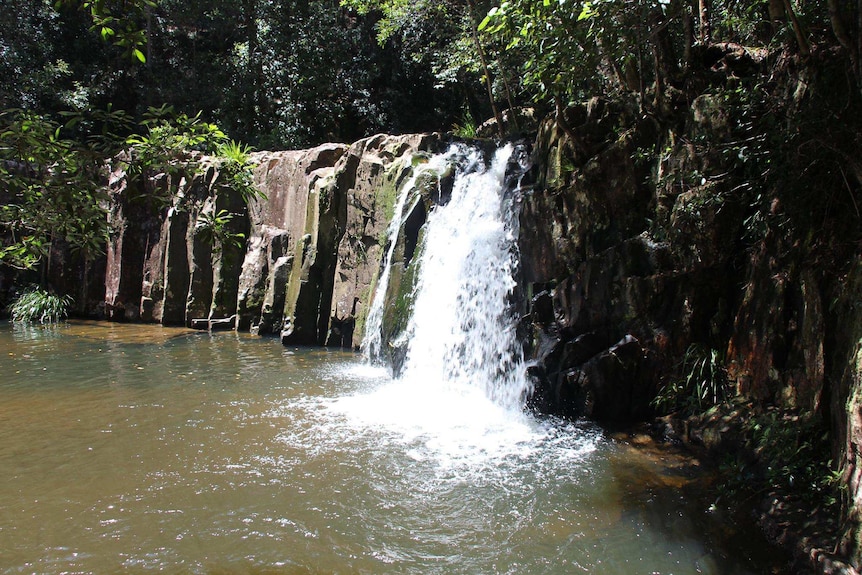 Waitui Falls, near Red Belly Farm Stay