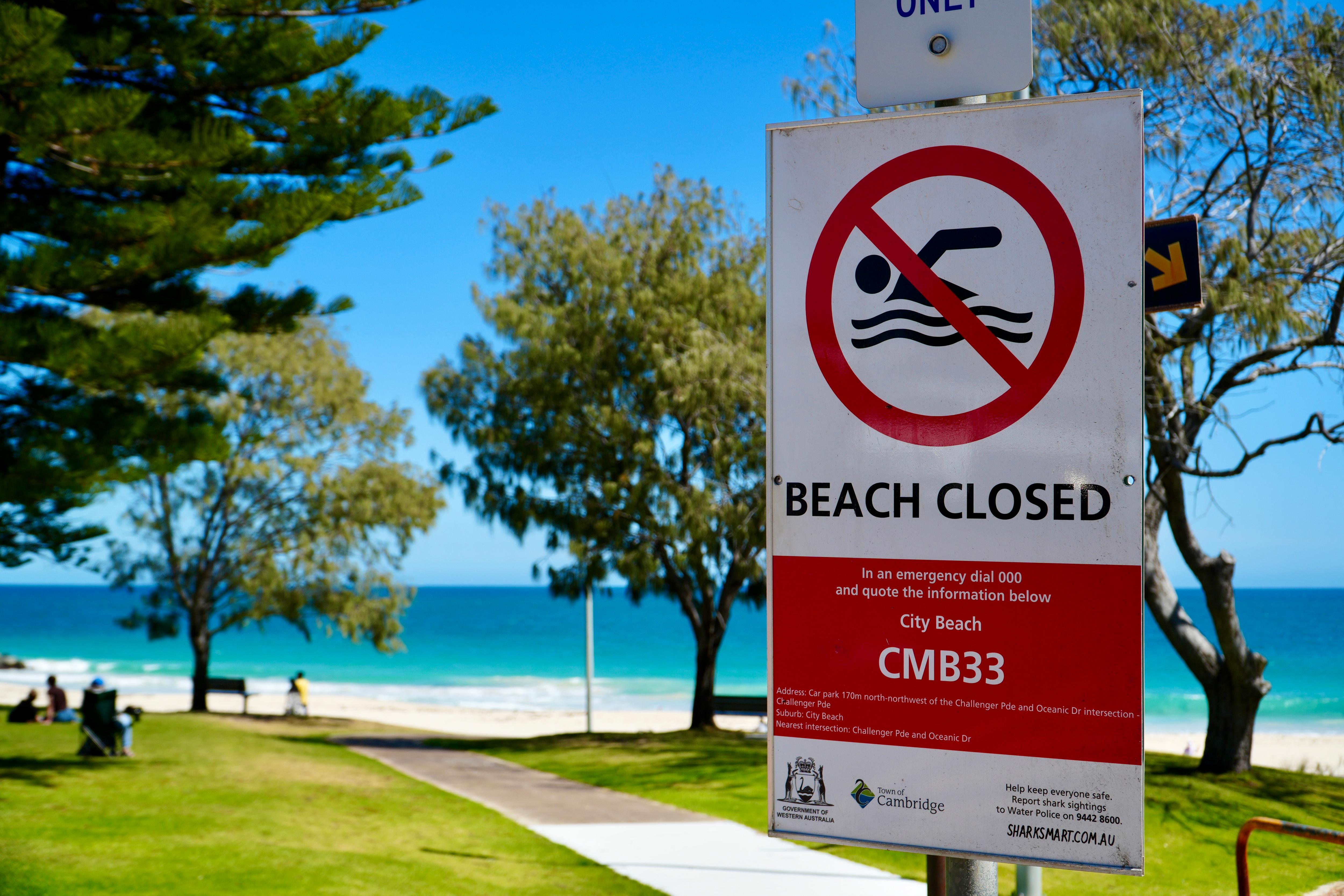 Sharks could linger off Perth coast despite whale carcass removal