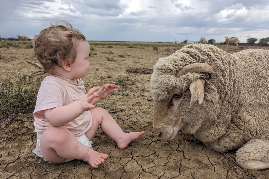 A young girl sitting on dry and cracked soil with a ram as storm clouds develop in the distance