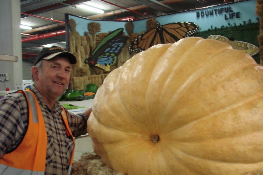Farmer Geoff Frohloff with his winning pumpkin which weighed more than 260 kilograms.