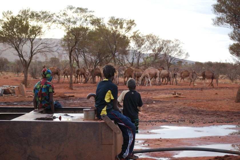 Police in regional NSW have been accused of 'routinely' abusing strip search powers in cases involving Indigenous children