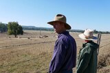A man and a woman face a barbed wire fence with cattle in a paddock beyond it. The man gazes to the left.