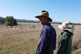 A man and a woman face a barbed wire fence with cattle in a paddock beyond it. The man gazes to the left.