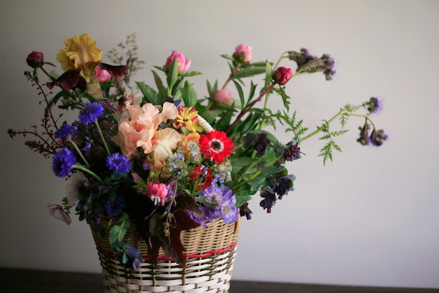 A basket of multicoloured flowers on a bench