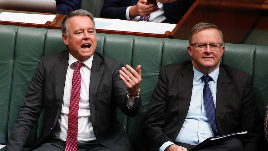 Joel Fitzgibbon yells across the House of Representatives chamber as he sits alongside Anthony Albanese