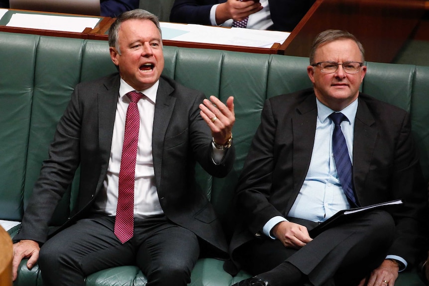 Joel Fitzgibbon yells across the House of Representatives chamber as he sits alongside Anthony Albanese