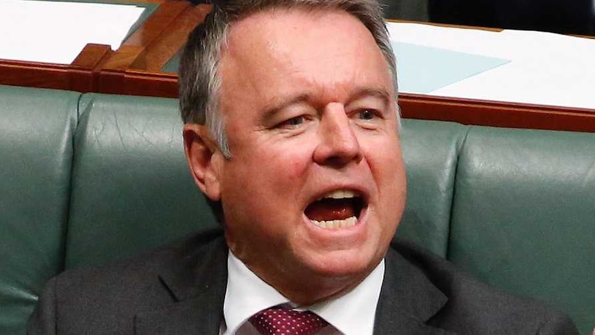 Joel Fitzgibbon yells across the House of Representatives chamber as he sits alongside Anthony Albanese