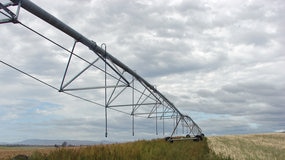 Irrigation equipment in a paddock.