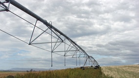 Water funding running out for Riverland plantings - file photo