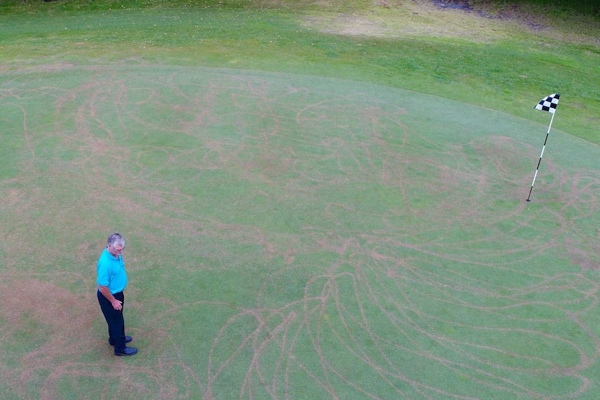 View from above of a man standing on a golf green covered in squiggles of dead grass caused by chemical spray