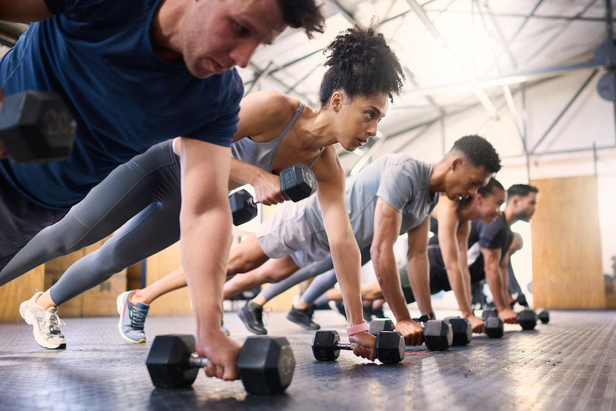 Group of people in plank position, pulling up dumbbells one hand at a time.