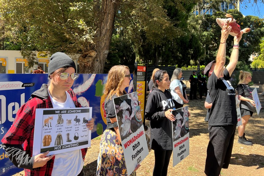 Animal rights protesters at Womadelaide.