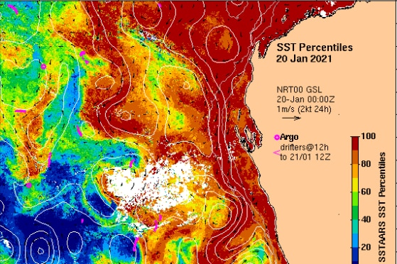 Marine heatwave map