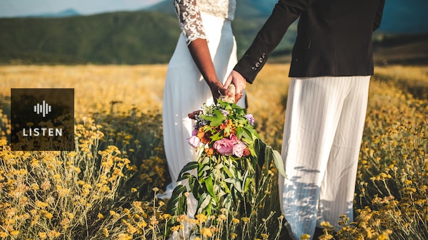 A woman in a wedding dress and her partner in long pants stand in a field holding hands. Has Audio.