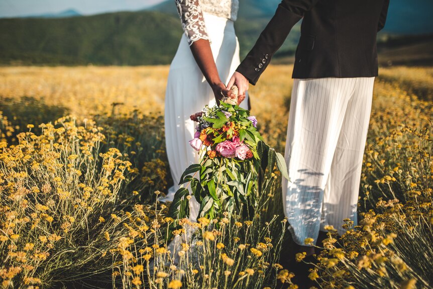 A woman in a wedding dress and her partner in long pants stand in a field holding hands.