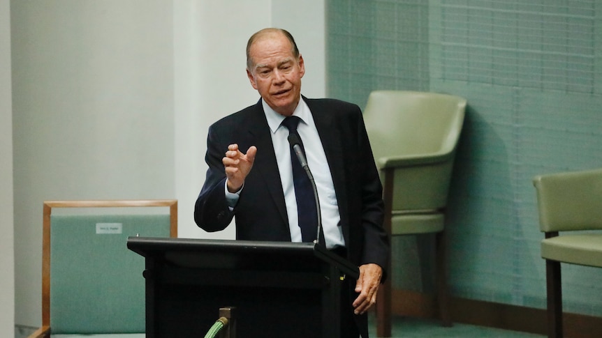 An older man in a dark suit stands and gestures as he speaks in parliament.