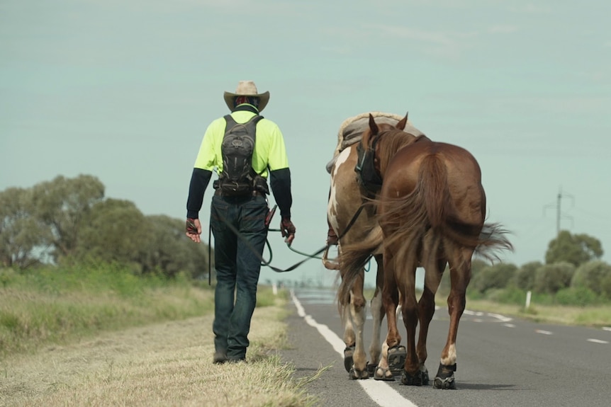 A man and a horse walk along the road.