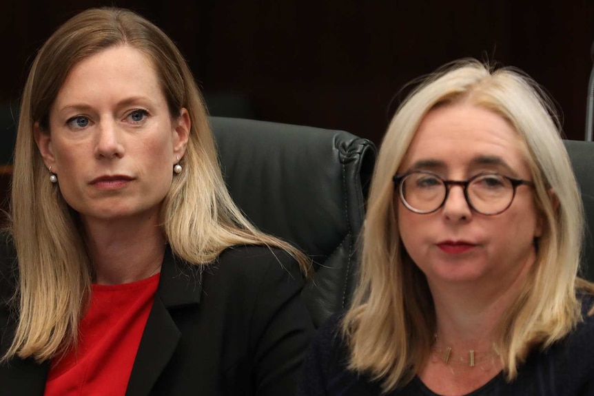 Tasmanian Opposition Leader Rebecca White and Labor MP Michelle O'Byrne in parliament.