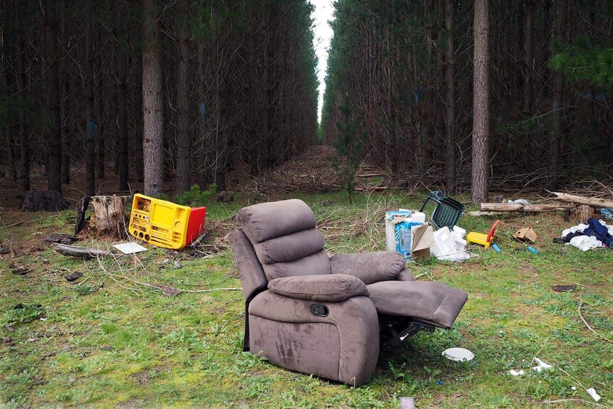 A television, wicker chest and other assorted rubbish lying on grass near pine trees.