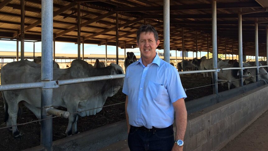 Assistant Minister to the deputy Prime Minister Luke Hartsuyker stands in front of Brahman cattle in a feed lot pen