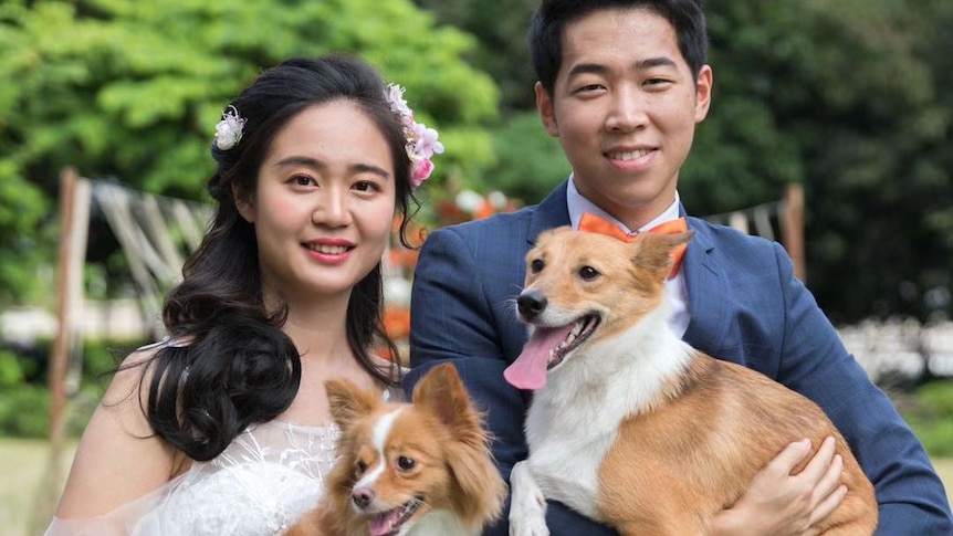 Bride and groom stand in wedding attire holding small dogs, looking happy.