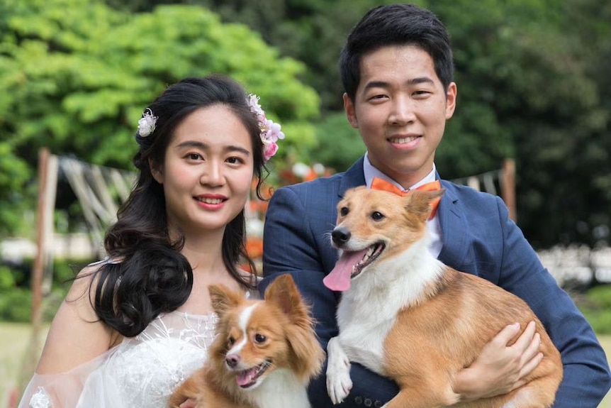 Bride and groom stand in wedding attire holding small dogs, looking happy.