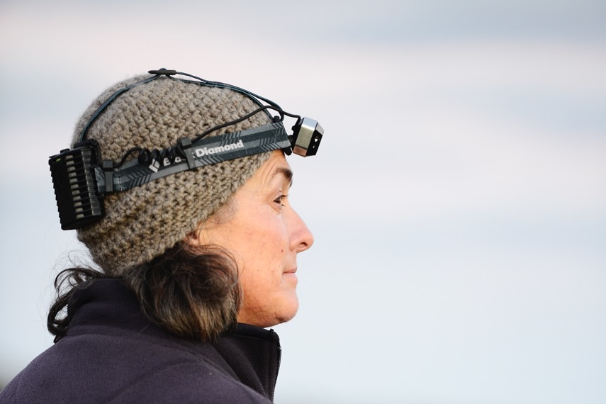 Sarah Comer conducting a bird survey at Cape Arid National Park east of Esperance.