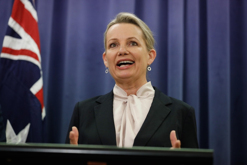 Susan Ley talks while standing behind a lectern. Behind her is an Australian flag.