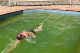 man swimming in green pool with rope tied to his waist