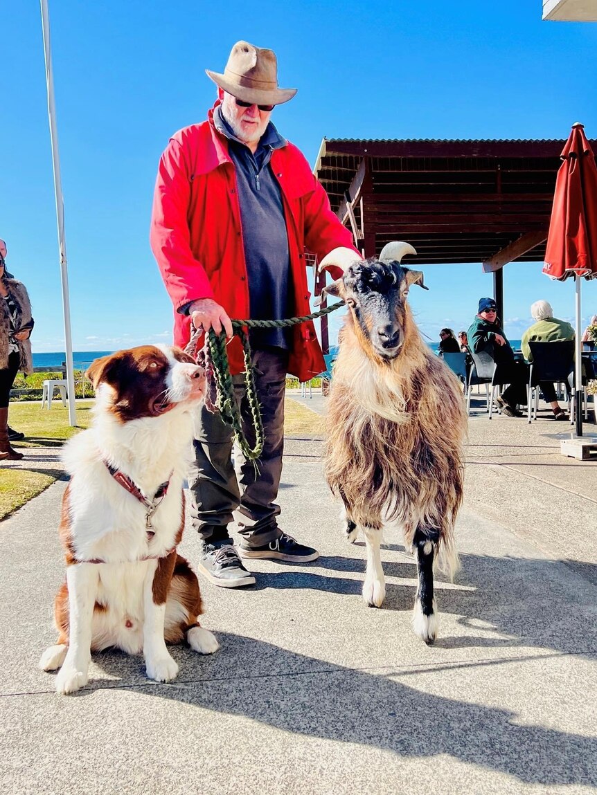 Older man, grey beard, wears red jacket, hat, stands with a dog and a goat on leads, at an outdoor beach cafe. Blue sky, sea.