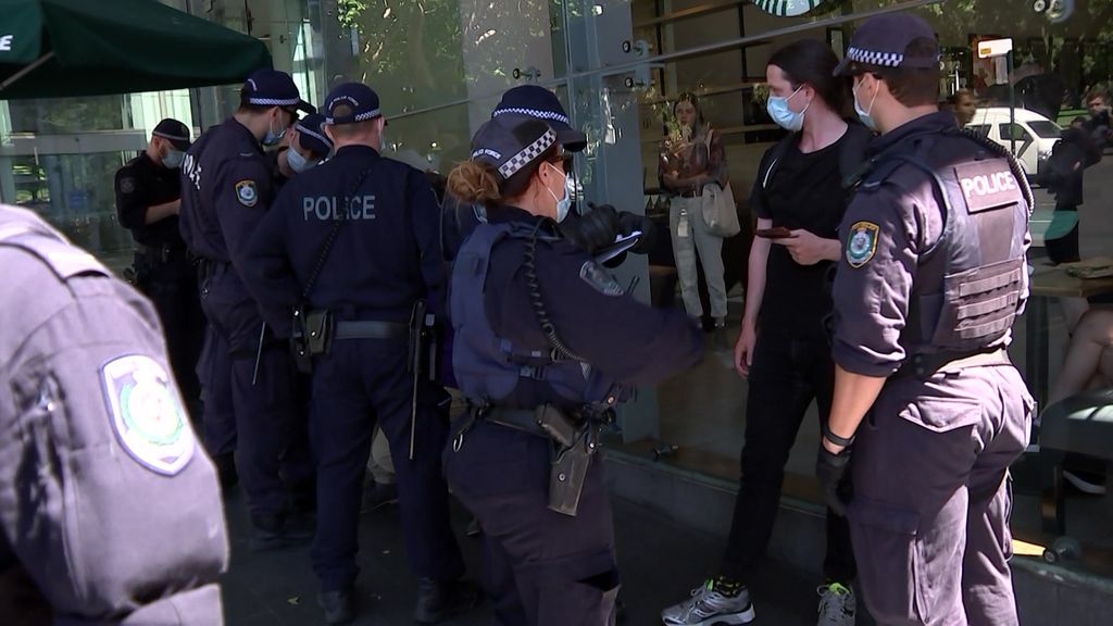 Police arrested dozens of activists at the rally - ABC News