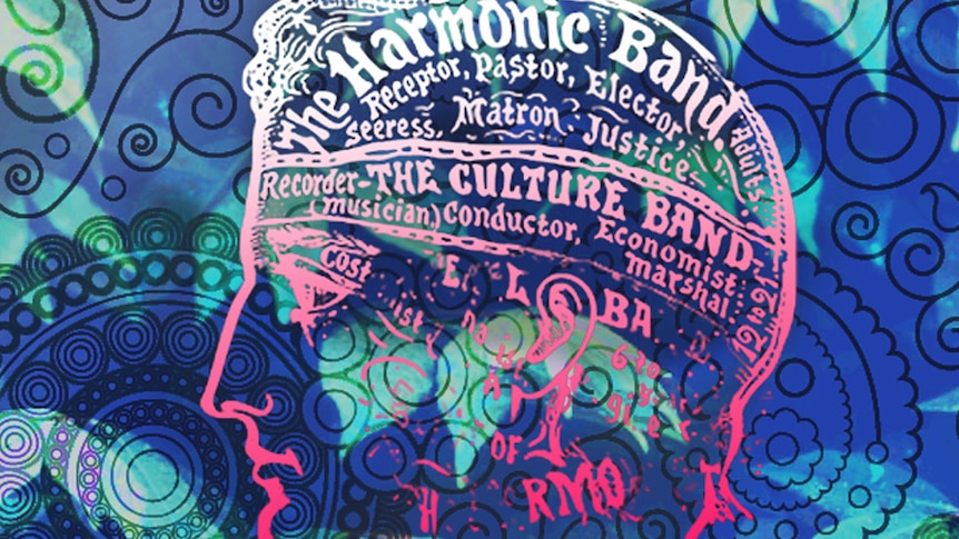Rhetorical illustration of a phrenology diagram showing 'the harmonic band', and 'the culture band'